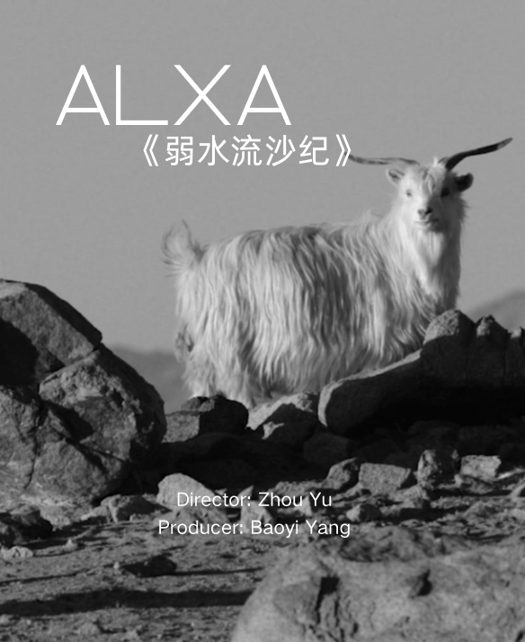 ALXA poster